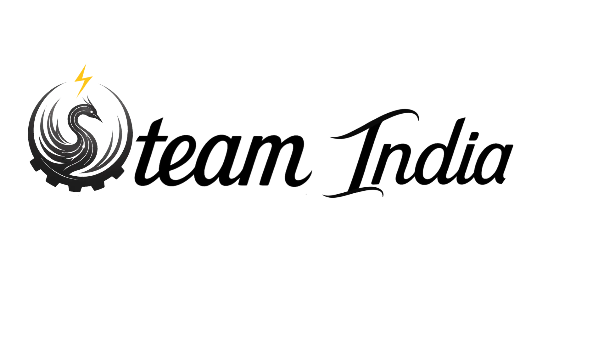 Steam India Logo - Electric Switchgear and Automation Products